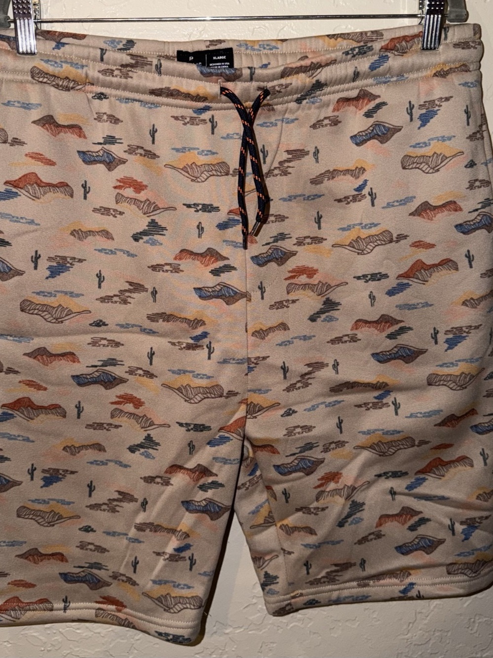 Public Record Printed Shorts XL
